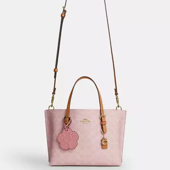 NWT Coach! Mollie Tote Bag 25
In Signature Canvas With Charms 🌸 - Picture 8 of 11